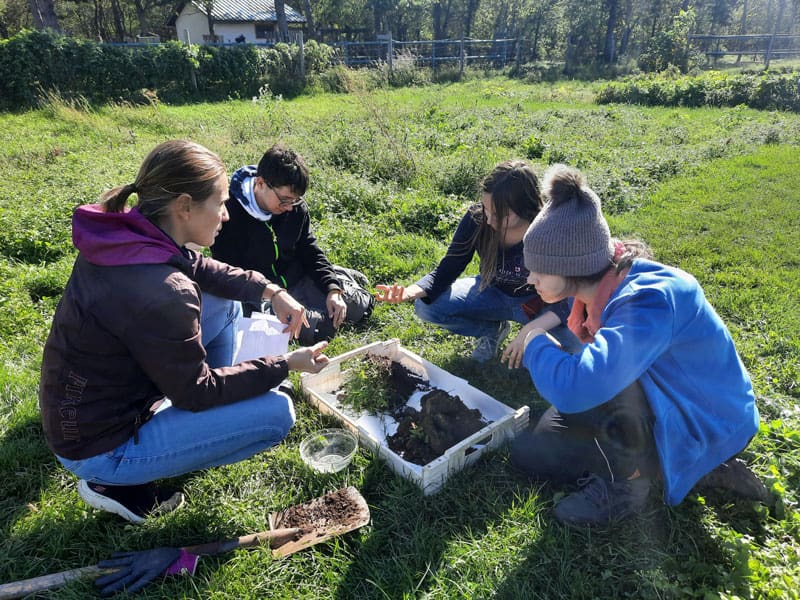 Drei Jugendliche der IFIT-Schule sitzen auf einer Wiese auf dem Öko-Landgut Sonnenfeld und lernen etwas über biologische Landwirtschaft.
